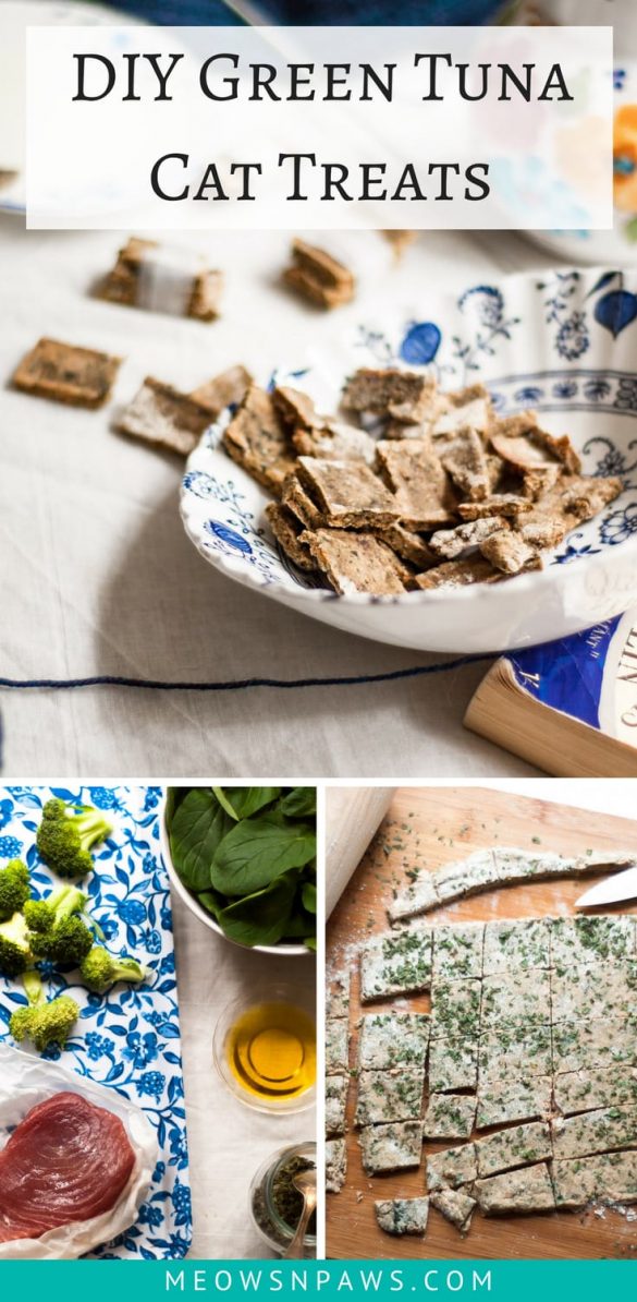 DIY Green Tuna Cat Treats Meows 'n' Paws