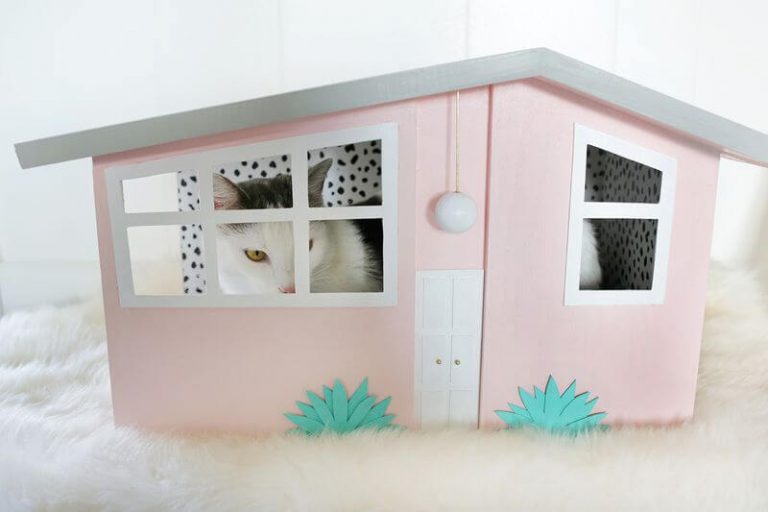 10 Cat Furniture DIYs That You'll Want to Try Today! Meows 'n' Paws