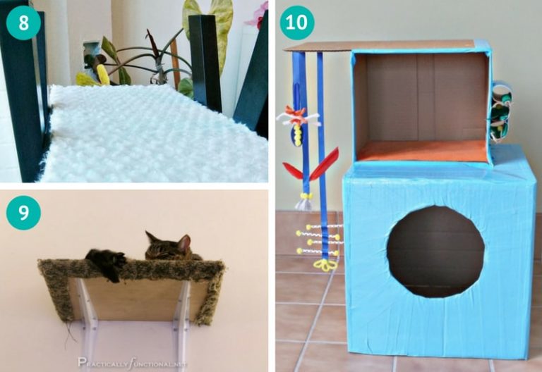 10 Cat Furniture DIYs That You'll Want to Try Today! Meows 'n' Paws