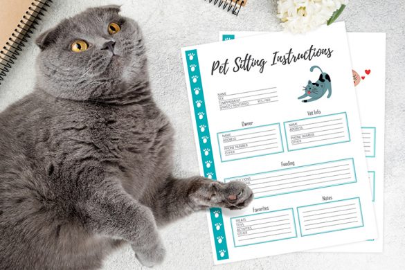 Cat Care Planner Printable