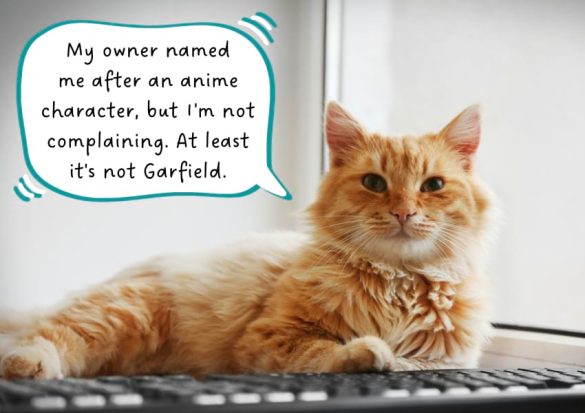 Anime cat names